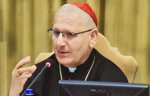 بطريرك الكنيسة الكلدانيّة الكاردينال لويس روفائيل ساكو Provided by: Chaldean Patriarchate