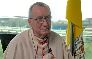 الكاردينال بييترو بارولين Provided by: CNA