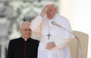 البابا فرنسيس Provided by: Daniel Ibáñez/CNA