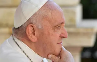 البابا فرنسيس مصدر الصورة: فاتيكان ميديا