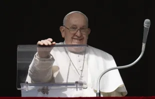 البابا فرنسيس في خلال صلاة التبشير الملائكي مع المؤمنين المحتشدين في ساحة القدّيس بطرس اليوم مصدر الصورة: فاتيكان ميديا