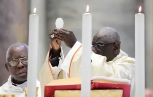 الكاردينال روبرت سارة يترأس القداس في كاتدرائيّة القديس بطرس في الذكرى الخمسين لرسامته الكهنوتيّة في العام 2019 Provided by: Evandro Inetti/CNA