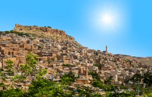 مدينة ماردين في تركيا مصدر الصورة: muratart/Shutterstock
