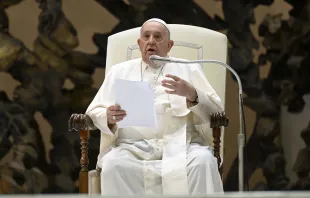 البابا فرنسيس في خلال المقابلة العامّة الأسبوعيّة في قاعة بولس السادس-الفاتيكان مصدر الصورة: فاتيكان ميديا