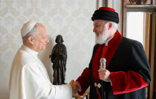 البابا لاوون الرابع عشر يلتقي البطريرك آوا الثالث روئيل في الفاتيكان مصدر الصورة: فاتيكان ميديا