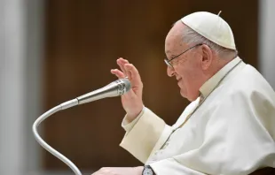 رافق الرقم 13 البابا فرنسيس منذ طفولته مصدر الصورة: فاتيكان ميديا