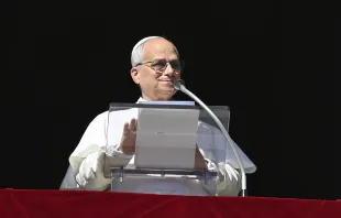 البابا لاوون الرابع عشر يتلو صلاة التبشير الملائكيّ مع المؤمنين المحتشدين في ساحة القدّيس بطرس الفاتيكانيّة مصدر الصورة: فاتيكان ميديا