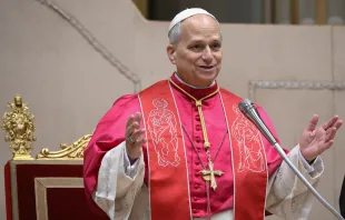 البابا لاوون الرابع عشر يلتقي صباح اليوم الدبلوماسيّين المعتمدين لدى الكرسيّ الرسوليّ مصدر الصورة: فاتيكان ميديا