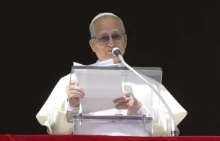 البابا لاوون الرابع عشر يتلو صلاة التبشير الملائكيّ مع المؤمنين في ساحة القدّيس بطرس الفاتيكانيّة مصدر الصورة: فاتيكان ميديا