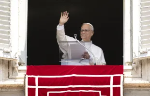 البابا لاوون الرابع عشر يتلو صلاة التبشير الملائكيّ مع المؤمنين المحتشدين في ساحة القدّيس بطرس الفاتيكانيّة مصدر الصورة: فاتيكان ميديا