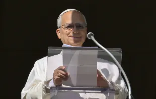 البابا لاوون الرابع عشر يتلو صلاة التبشير الملائكيّ مع المؤمنين في ساحة القدّيس بطرس الفاتيكانيّة مصدر الصورة: فاتيكان ميديا