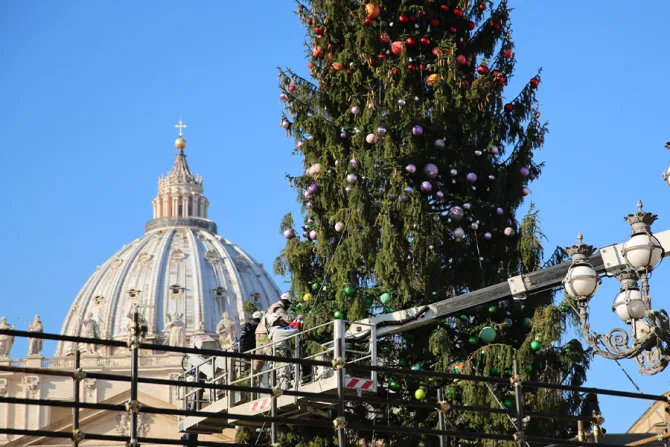 من اعمال وضع الزينة الميلاديّة في ساحة القديس بطرس في العام 2015