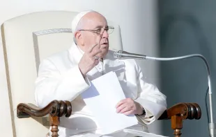 البابا يلقي كلمته في خلال المقابلة العامّة الأسبوعيّة Provided by: Daniel Ibáñez-CNA