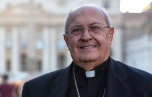 الكاردينال ليوناردو ساندري، الرئيس السابق لدائرة الكنائس الشرقيّة Provided by: Daniel Ibáñez-CNA