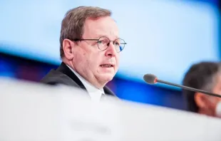 المطران جورج باتزينج في مؤتمر صحافي حول «المسيرة السينودسيّة» الألمانيّة Provided by: CNA