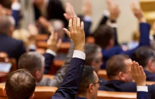 الديمقراطيّة فرصة لتعزيز التمسّك بحرّية التعبير والحرّيات المدنيّة وسيادة القانون مصدر الصورة: LCV/Shutterstock