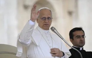 البابا في المقابلة العامّة الأسبوعيّة في 1 أكتوبر/تشرين الأوّل 2025 مصدر الصورة: فاتيكان ميديا