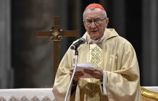 أمين سرّ دولة الفاتيكان الكاردينال بييترو بارولين مصدر الصورة: فاتيكان ميديا