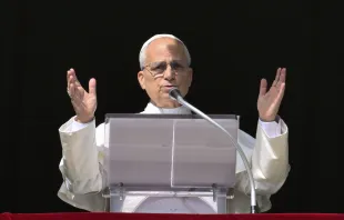 البابا لاوون الرابع عشر يتناول في رسالة أهمّية تطوير الذكاء الاصطناعيّ بشكل أخلاقيّ مصدر الصورة: فاتيكان ميديا