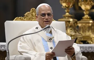 البابا لاوون الرابع عشر يترأّس الذبيحة الإلهيّة في بازيليك القدّيس بطرس-الفاتيكان يوم 9 يونيو/حزيران 2025 لمناسبة يوبيل الكرسيّ الرسوليّ مصدر الصورة: فاتيكان ميديا