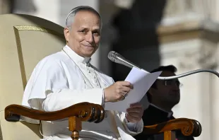 البابا لاوون الرابع عشر في خلال المقابلة العامة الأسبوعيّة في ساحة القدّيس بطرس الفاتيكانيّة في العاشر من ديسمبر/كانون الأوّل الماضي مصدر الصورة: فاتيكان ميديا