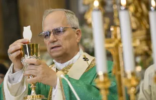 البابا لاوون الرابع عشر يحتفل بالذبيحة الإلهيّة في كنيسة القدّيس توما دا فيلانوفا-كاستل غاندولفو في شهر يوليو/تمّوز الماضي مصدر الصورة: فاتيكان ميديا