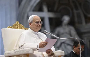 البابا لاوون الرابع عشر يلقي كلمة في خلال مقابلة عامّة يوبيليّة احتضنتها بازيليك القدّيس بطرس-الفاتيكان (14 يونيو/حزيران 2025) مصدر الصورة: فاتيكان ميديا