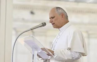 البابا لاوون الرابع عشر يتلو صلاة التبشير الملائكيّ في ساحة القدّيس بطرس-الفاتيكان يوم 15 يونيو/حزيران 2025 مصدر الصورة: فاتيكان ميديا