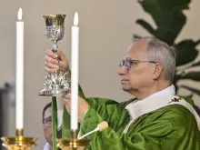 البابا لاوون الرابع عشر يحتفل بالذبيحة الإلهيّة في مزار سانتا ماريّا ديلّا روتوندا في ألبانو الإيطاليّة يوم 17 أغسطس/آب 2025