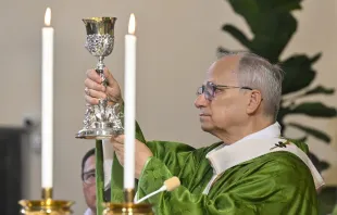 البابا لاوون الرابع عشر يحتفل بالذبيحة الإلهيّة في مزار سانتا ماريّا ديلّا روتوندا في ألبانو الإيطاليّة يوم 17 أغسطس/آب 2025 مصدر الصورة: فاتيكان ميديا