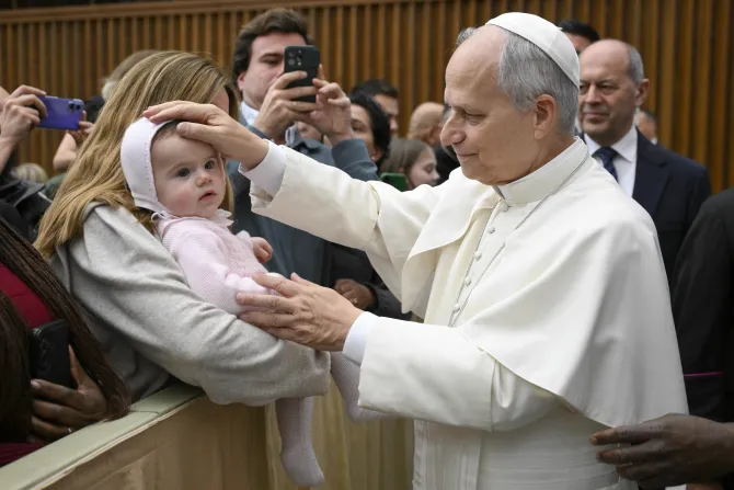 البابا لاوون الرابع عشر يلتقي أعضاء اللجنة المنظِّمة لمبادرة «من الأزمة إلى الرعاية: العمل الكاثوليكيّ لأجل الأطفال»
