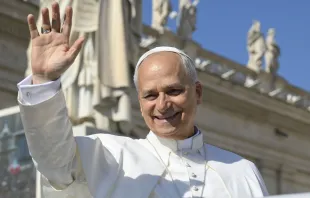 البابا لاوون الرابع عشر يحيّي المؤمنين في خلال مقابلة عامّة أسبوعيّة احتضنتها ساحة القدّيس بطرس الفاتيكانيّة في 25 يونيو/حزيران 2025 مصدر الصورة: فاتيكان ميديا