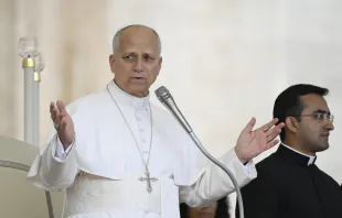 البابا لاوون الرابع عشر يندّد بمنطق العنف ويدعو إلى سلام منزوع السلاح في رسالة لليوم العالميّ الـ59 للسلام مصدر الصورة: فاتيكان ميديا