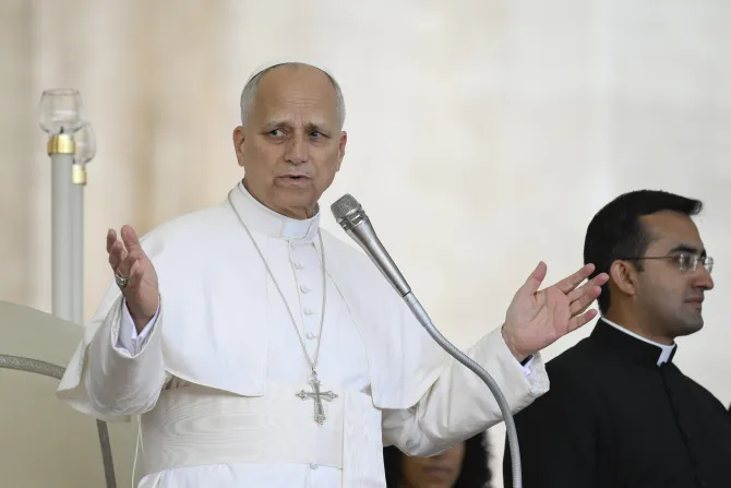 البابا لاوون الرابع عشر يندّد بمنطق العنف ويدعو إلى سلام منزوع السلاح في رسالة لليوم العالميّ الـ59 للسلام