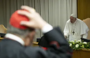 من الكونسيستوار الاستثنائي لكلّ كرادلة العالم مع البابا فرنسيس في أغسطس/آب الفائت Provided by: Vatican Media