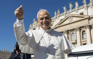 البابا لاوون الرابع عشر يحيّي المؤمنين في ساحة القدّيس بطرس-الفاتيكان ضمن مقابلة عامّة أسبوعيّة (30 يوليو/تمّوز 2025) مصدر الصورة: فاتيكان ميديا