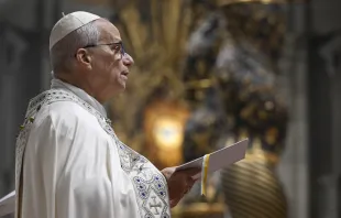 أطلق البابا لاوون الرابع عشر صباح اليوم سلسلة تعاليم جديدة عن المجمع الفاتيكانيّ الثاني مصدر الصورة: فاتيكان ميديا