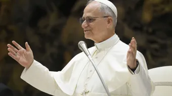 البابا لاوون الرابع عشر يسلّط الضوء على أهمّية علم الآثار في رسالة بذكرى مرور مئة عام على تأسيس «المعهد الحبريّ لعلم الآثار المسيحيّة» مصدر الصورة: فاتيكان ميديا