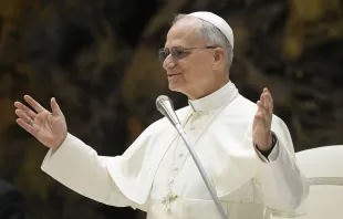 البابا لاوون الرابع عشر يسلّط الضوء على أهمّية علم الآثار في رسالة بذكرى مرور مئة عام على تأسيس «المعهد الحبريّ لعلم الآثار المسيحيّة» مصدر الصورة: فاتيكان ميديا