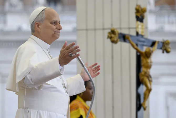 البابا لاوون يُقدّم تأمّلًا في خلال المقابلة العامّة الأسبوعيّة صباح اليوم في الفاتيكان