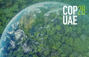 هل ينجح مؤتمر الأطراف بدورته الـ28 في أبوظبي-الإمارات بالتصدّي لتحدّيات التغيّر المناخي؟ مصدر الصورة: COP28 UAE