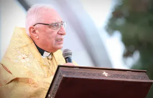 البطريرك يوسف العبسي مصدر الصورة: بطريركيّة أنطاكيا وسائر المشرق للروم الملكيّين الكاثوليك