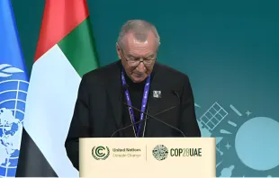 الكاردينال بارولين يلقي كلمة البابا فرنسيس ضمن مؤتمر الأطراف في اتفاقيّة الأمم المتحدة الإطاريّة بشأن تغيُّر المناخ المنعقد في دبي-الإمارات مصدر الصورة: قناة COP28 في يوتيوب