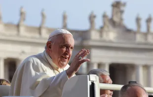 البابا فرنسيس في المقابلة العامة يوم الأربعاء 28 سبتمبر/أيلول 2022 Provided by: Pablo Esparza-CNA