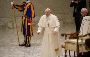 البابا فرنسيس في خلال المقابلة العامّة الأسبوعيّة التي احتضنتها قاعة بولس السادس-الفاتيكان مصدر الصورة: إليزابيت ألفا/آسي مينا