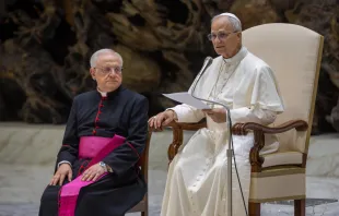 البابا لاوون الرابع عشر يقدّم تعليمًا عن الخيانة صباح اليوم في قاعة بولس السادس-الفاتيكان مصدر الصورة: دانييل إيبانيز/آسي مينا