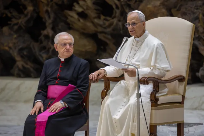 البابا لاوون الرابع عشر يقدّم تعليمًا عن الخيانة صباح اليوم في قاعة بولس السادس-الفاتيكان